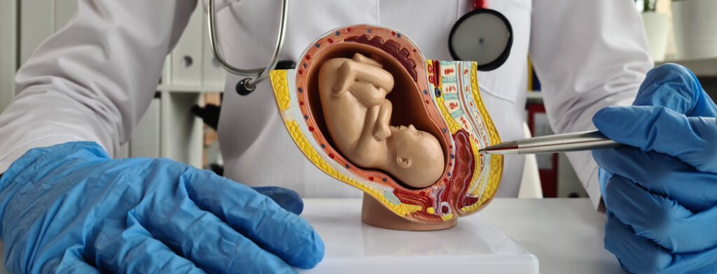 OBGYN Written Exam Preparation Course